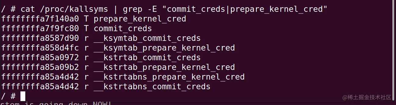 image-20230703204436120