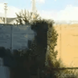 半修缘于2023-09-07 10:25发布的图片