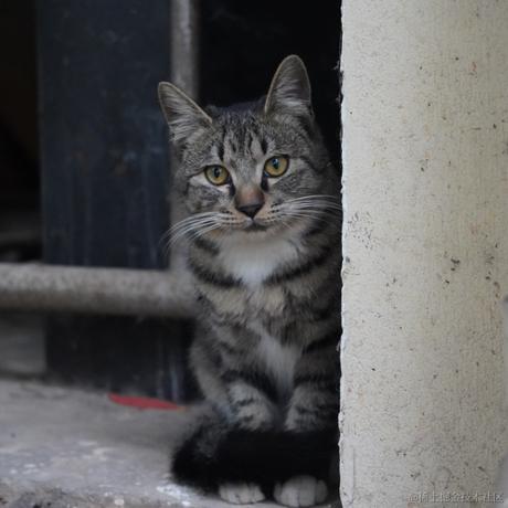 西米酱米西于2022-11-14 02:56发布的图片