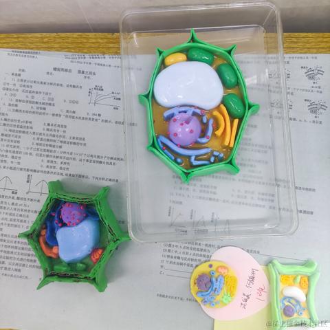 猫雷最强于2022-11-25 20:28发布的图片