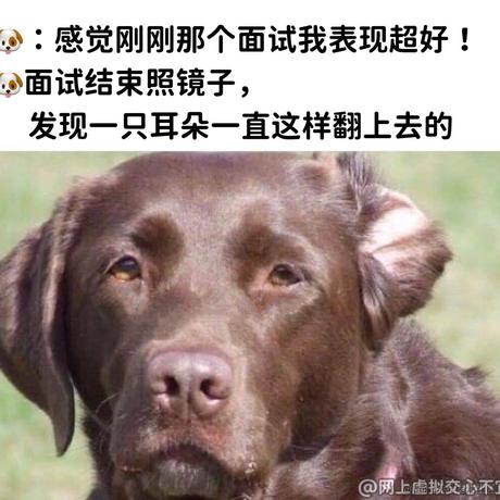 某水果于2022-12-14 22:47发布的图片