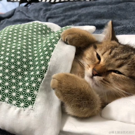 白影于2022-11-21 07:57发布的图片