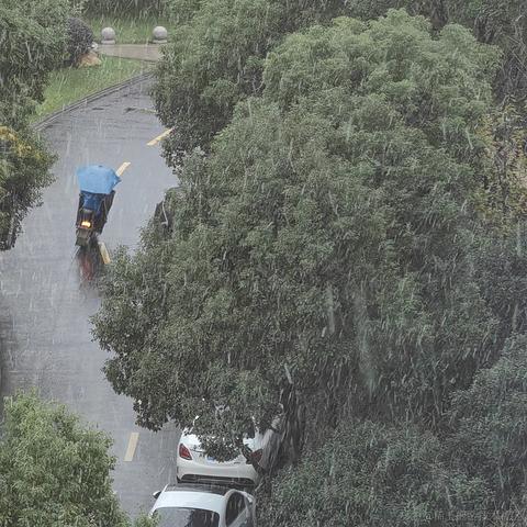 aflybird于2022-11-30 15:35发布的图片