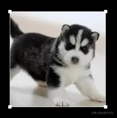 image-20210927165006407