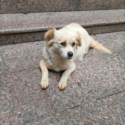 兔子加油于2022-11-19 16:42发布的图片