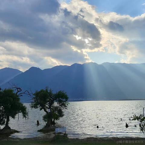 爱球球于2023-12-21 16:44发布的图片