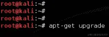 结合 Kali Linux 和树莓派