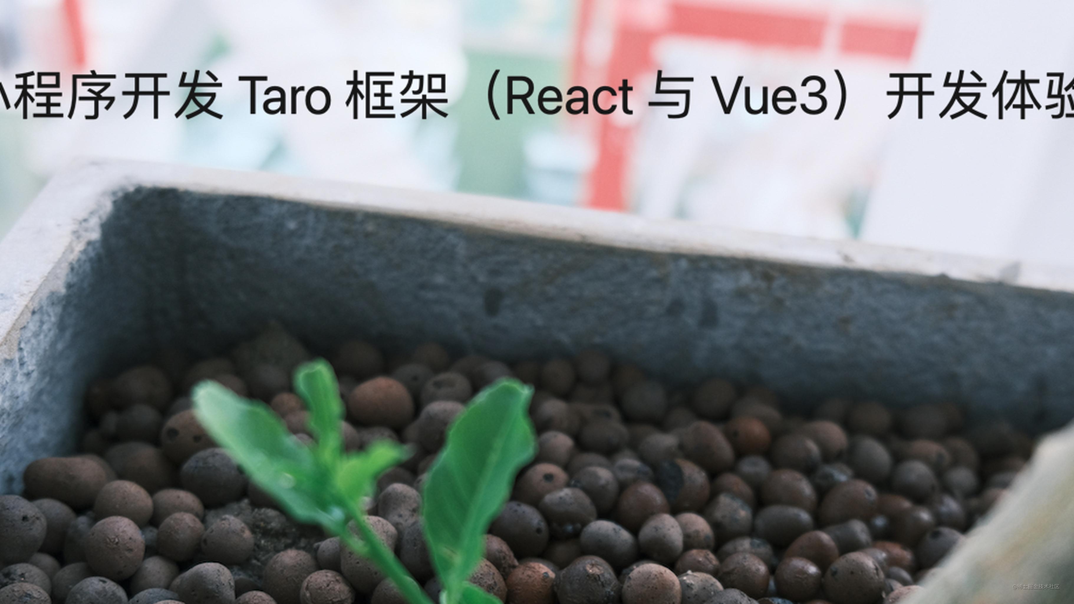 小程序开发 Taro 框架（React 与 Vue3）开发体验