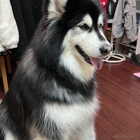 kk有志向于2022-11-20 08:43发布的图片