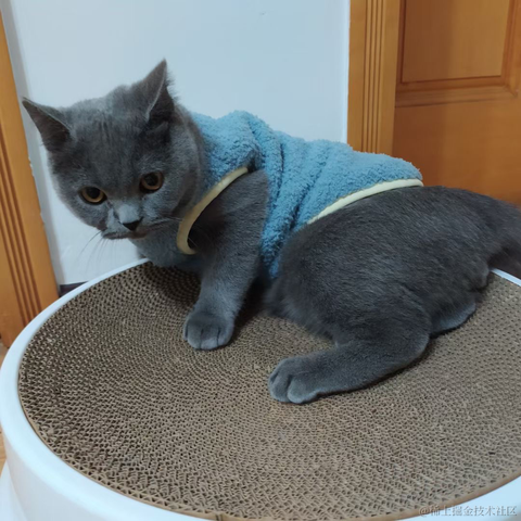 月球背面于2023-05-14 14:45发布的图片