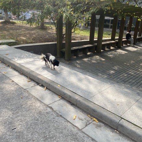 乃琳今天吃什么火锅于2022-11-21 11:41发布的图片