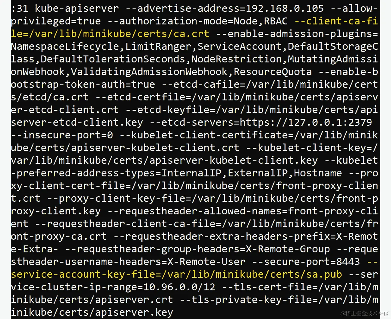 图 4.48：获取传递给 API 服务器的详细标志