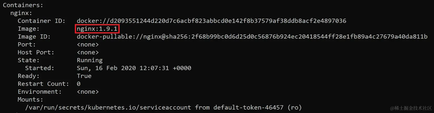 图 3.13：使用 kubectl describe 命令检查容器中的图像版本