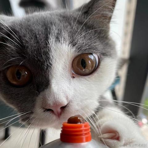 Livingbody于2021-10-27 19:22发布的图片