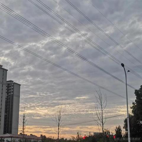 睡着的时候不困zzz于2023-07-11 10:00发布的图片