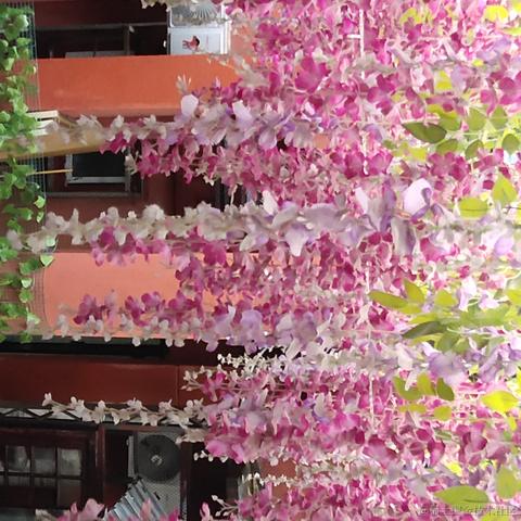 私涙洇于2023-04-27 17:30发布的图片