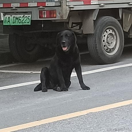 跟我一起秃秃秃于2022-12-10 14:08发布的图片