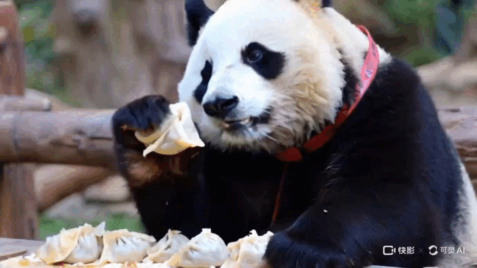 熊猫吃粽子.gif