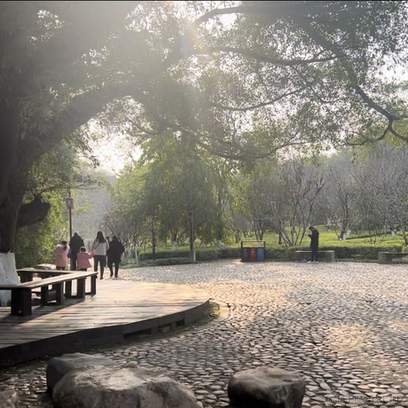 Maxcj于2023-01-24 09:42发布的图片