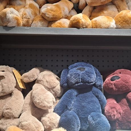 初晨淡上的微光于2023-05-15 21:09发布的图片