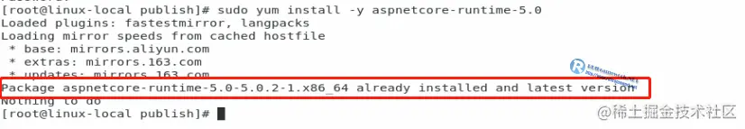aspnetcore-runtime