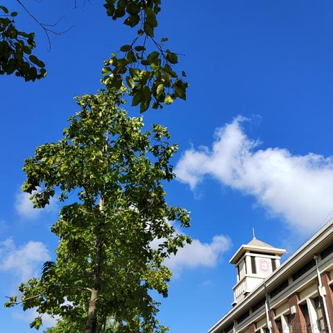 玖月Sarah_于2023-09-05 00:15发布的图片