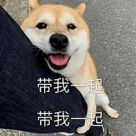 反卷局局长于2022-12-30 14:41发布的图片