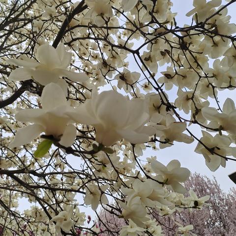 从0开始的go世界于2023-04-16 21:36发布的图片