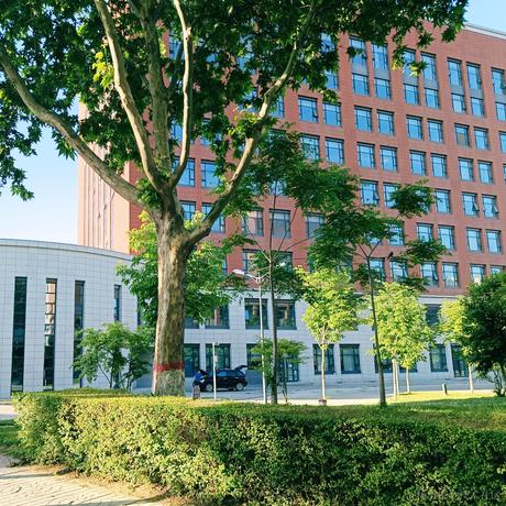 李岑岑于2022-05-03 21:09发布的图片