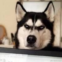 半修缘于2023-02-14 11:29发布的图片