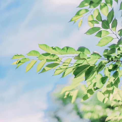 知否技术于2021-01-06 09:43发布的图片