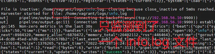 filebeat 只监测到了 info.log 文件