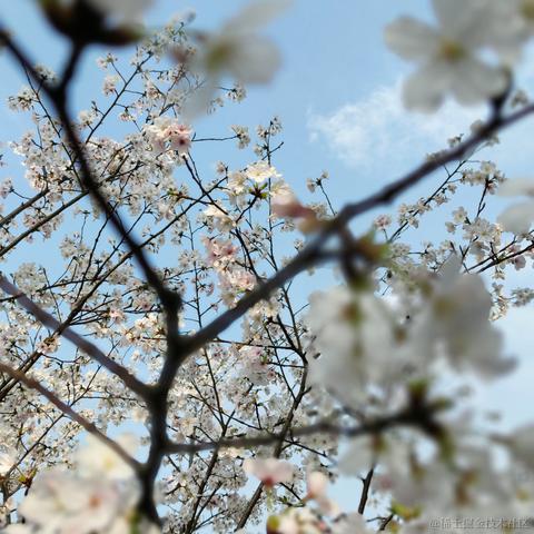 Mr_Li于2023-03-15 09:33发布的图片