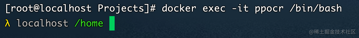 [rootelocalhost Projects]# docker exec -it ppocr binbash.png