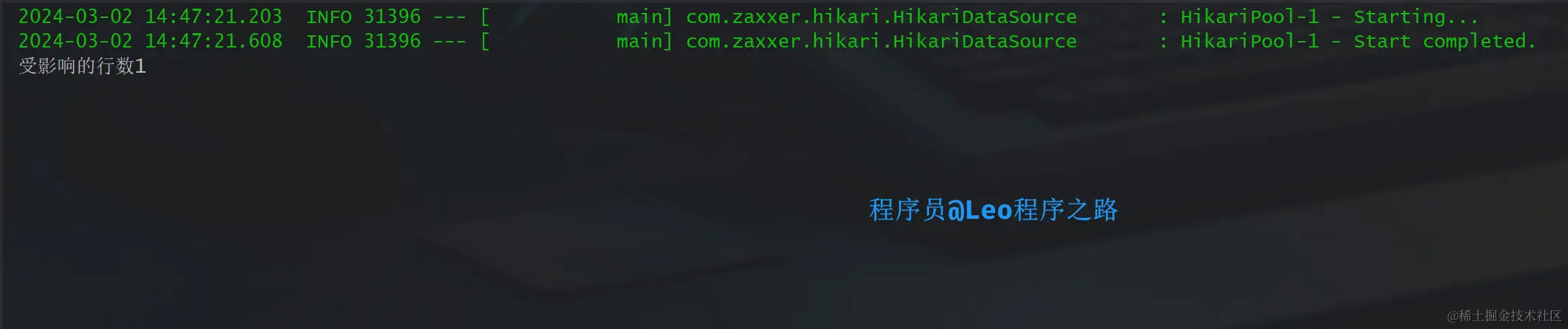 image-20240302144757107