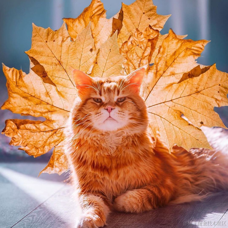 杰瑞_于2021-02-06 08:33发布的图片