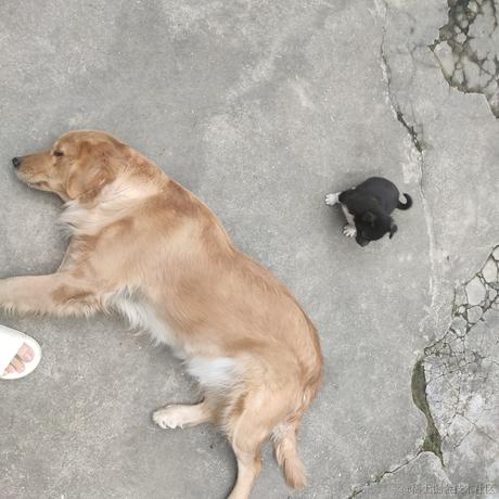 保安小胡于2022-11-25 10:36发布的图片