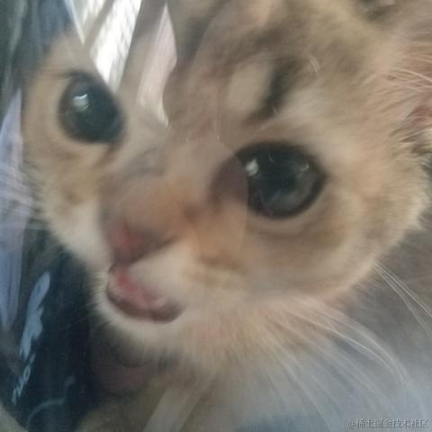 景傲于2023-06-30 22:59发布的图片