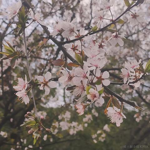 无糖气泡水于2023-03-15 07:53发布的图片