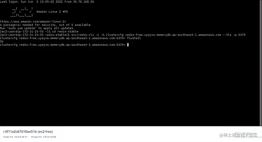 白嫖-Amazon MemoryDB并构建你专属的Redis内存数据库