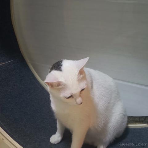 奔跑吧鸡翅于2023-01-14 09:52发布的图片