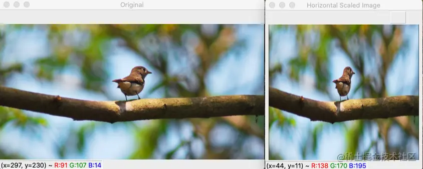 Scale image horizontally