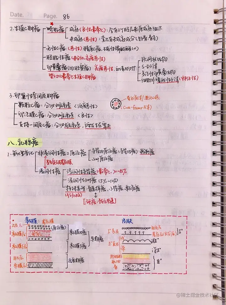 病理手写笔记.pdf