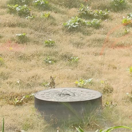 迂回418于2022-12-09 11:39发布的图片