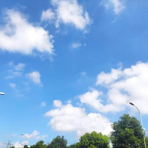 sunshinehh于2021-07-21 12:52发布的图片