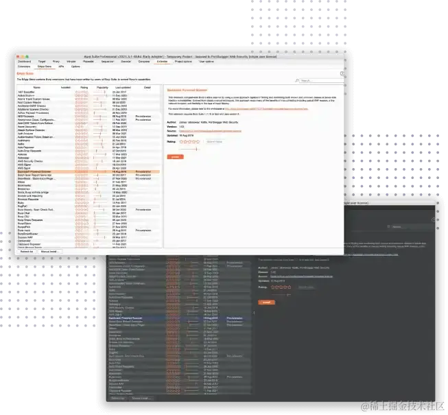 Burp Suite Professional 的 BApp Store 截图