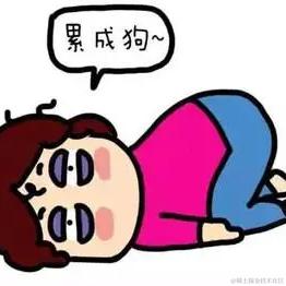 熊猫片沃子于2024-05-13 10:01发布的图片