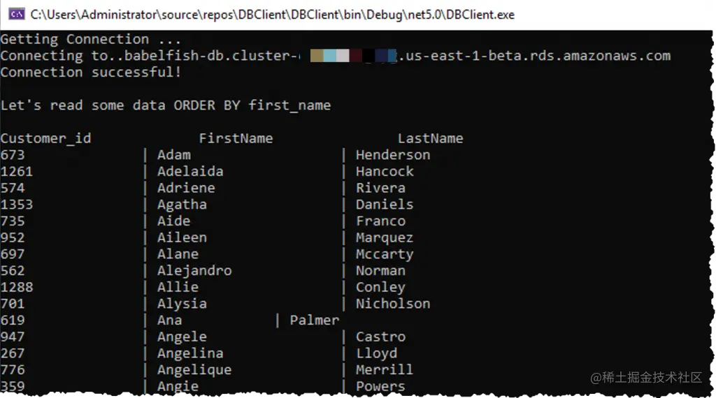 Babelfish 应用程序执行