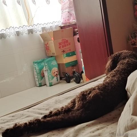 用户3793于2023-02-20 00:13发布的图片